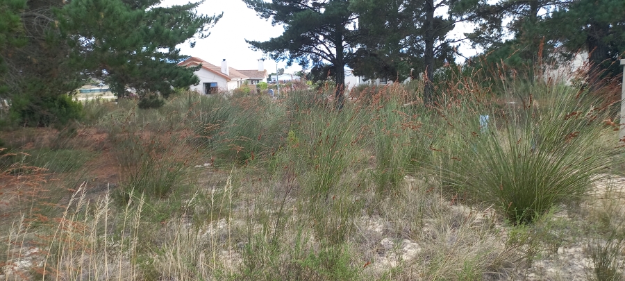 0 Bedroom Property for Sale in Albertinia Western Cape